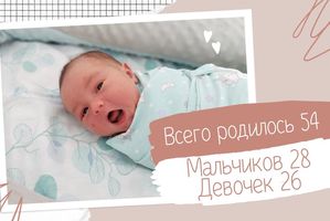 «Статистика рождаемости» за октябрь