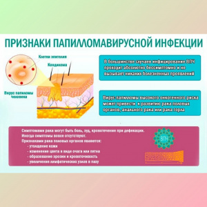 ВИРУС ПАПИЛЛОМЫ ЧЕЛОВЕКА — одно из самых распространенных инфекционных заболеваний в мире