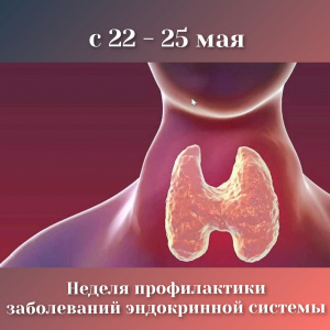 22-28 мая 2023 года — Неделя профилактики заболеваний эндокринной системы в честь Всемирного дня щитовидной железы 25 мая