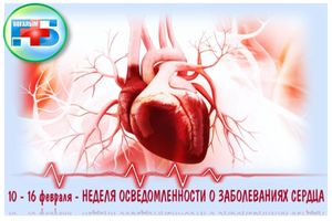 Сердце работает с момента нашего рождения и до самой смерти