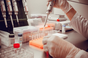 Трихинеллез – опасное инвазионное заболевание диких и домашних животных, передающееся человеку