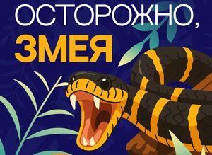 Внимание, опас-с-с-сность!