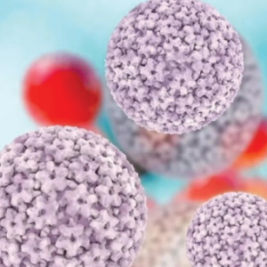 Вирус папилломы человека